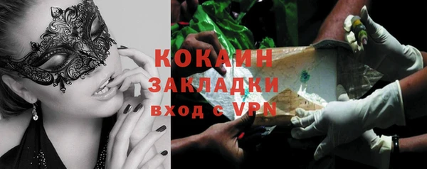 молекула духа Няндома