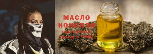 молекула духа Няндома
