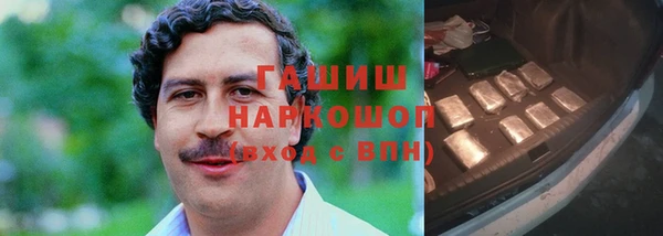 молекула духа Няндома