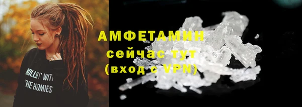 молекула духа Няндома