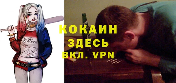 молекула духа Няндома