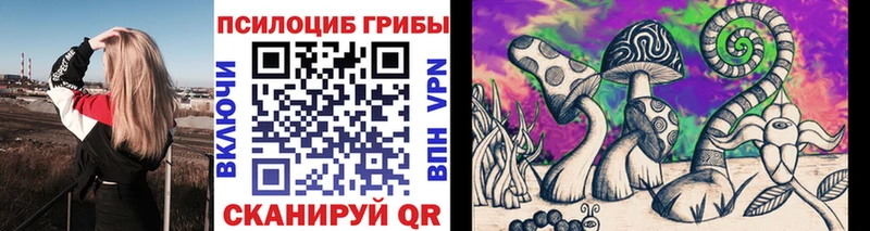 где купить наркоту  Петушки  Псилоцибиновые грибы мицелий 